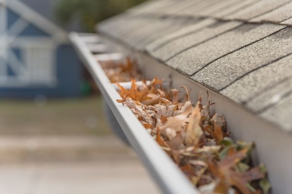 Leaf Barrier Installation in Providence
